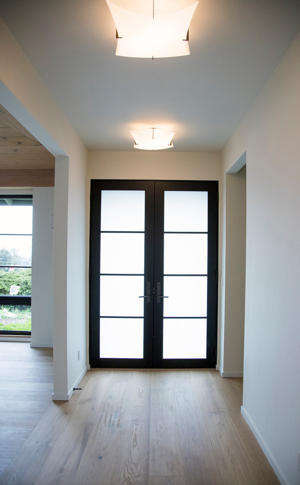 Mittelgroßer Moderner Eingang mit Korridor, weißer Wandfarbe, braunem Holzboden, Doppeltür, schwarzer Haustür und braunem Boden in Sonstige