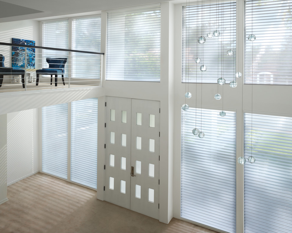 Window Treatments Hunter Douglas Photos Modern Entry Grand Rapids