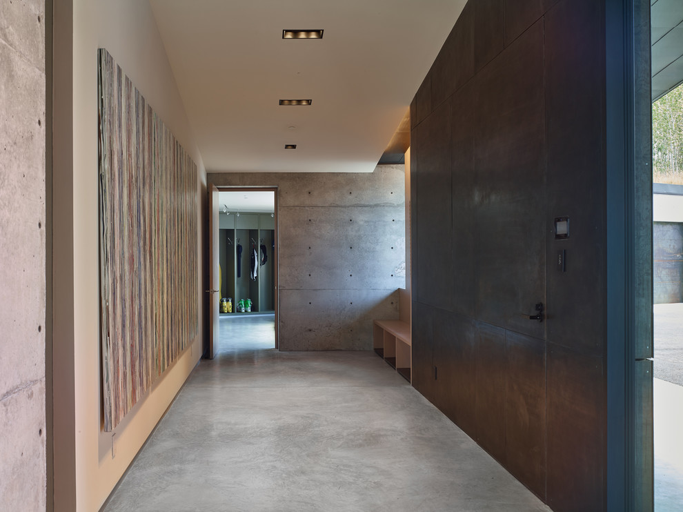 Inspiration pour une entrée minimaliste de taille moyenne avec un mur beige, sol en béton ciré, une porte simple, une porte métallisée, un sol gris et un couloir.