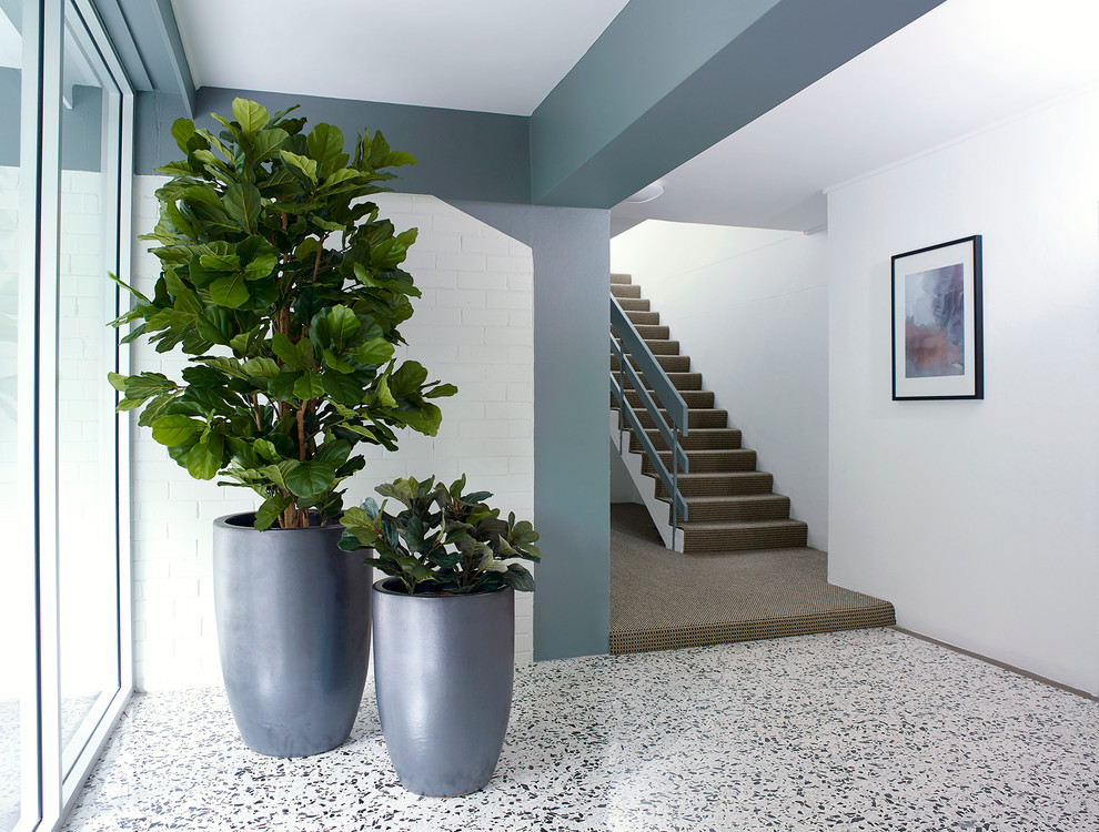 Mittelgroßes Modernes Foyer mit grauer Wandfarbe, Teppichboden, Doppeltür und Haustür aus Glas in Sydney