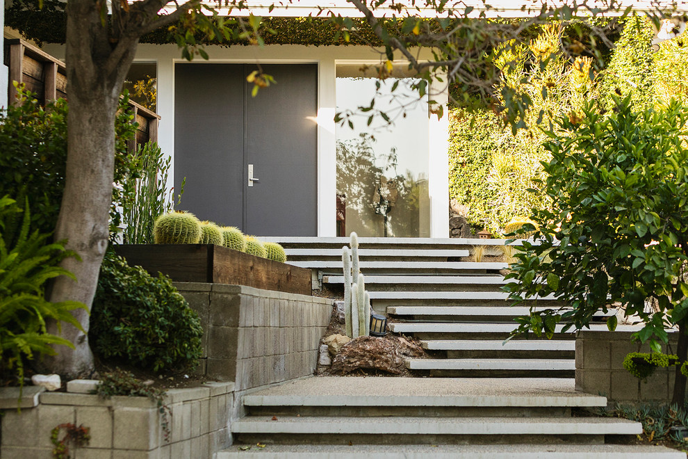 Moderne Haustür mit weißer Wandfarbe, Einzeltür, grauer Haustür und grauem Boden in Los Angeles
