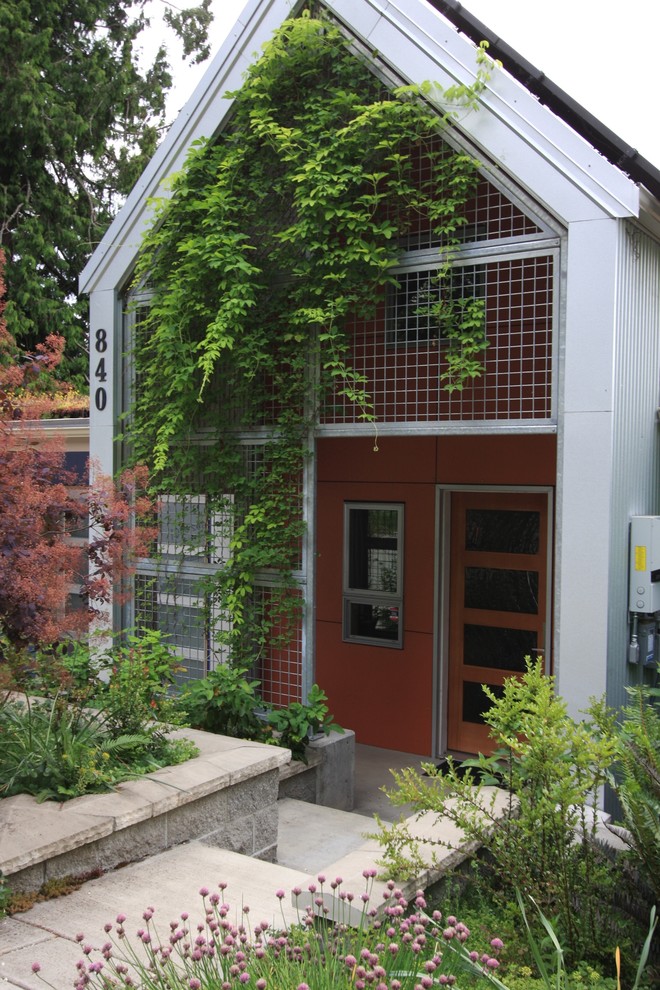Пример оригинального дизайна: входная дверь среднего размера в стиле модернизм с оранжевыми стенами и входной дверью из дерева среднего тона