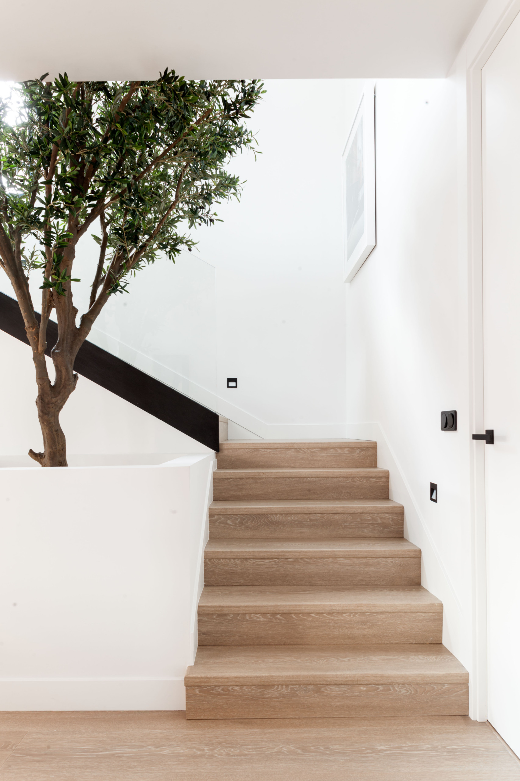Fotos de escaleras | Diseños de escaleras blancas - Febrero 2023 | Houzz ES