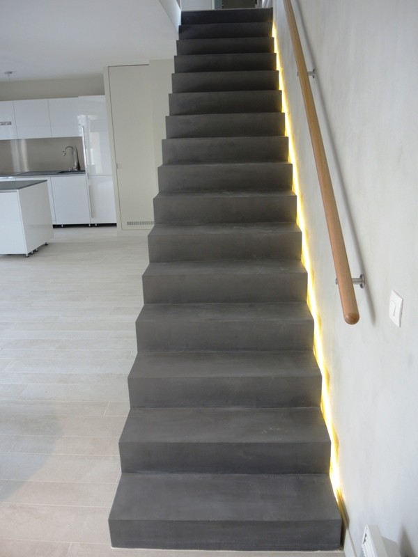 Staircase - contemporary staircase idea in Paris