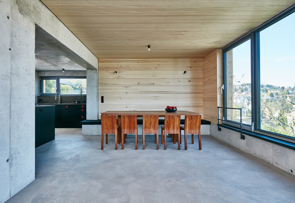 Источник вдохновения для домашнего уюта: гостиная-столовая среднего размера в стиле модернизм с серыми стенами, бетонным полом и серым полом