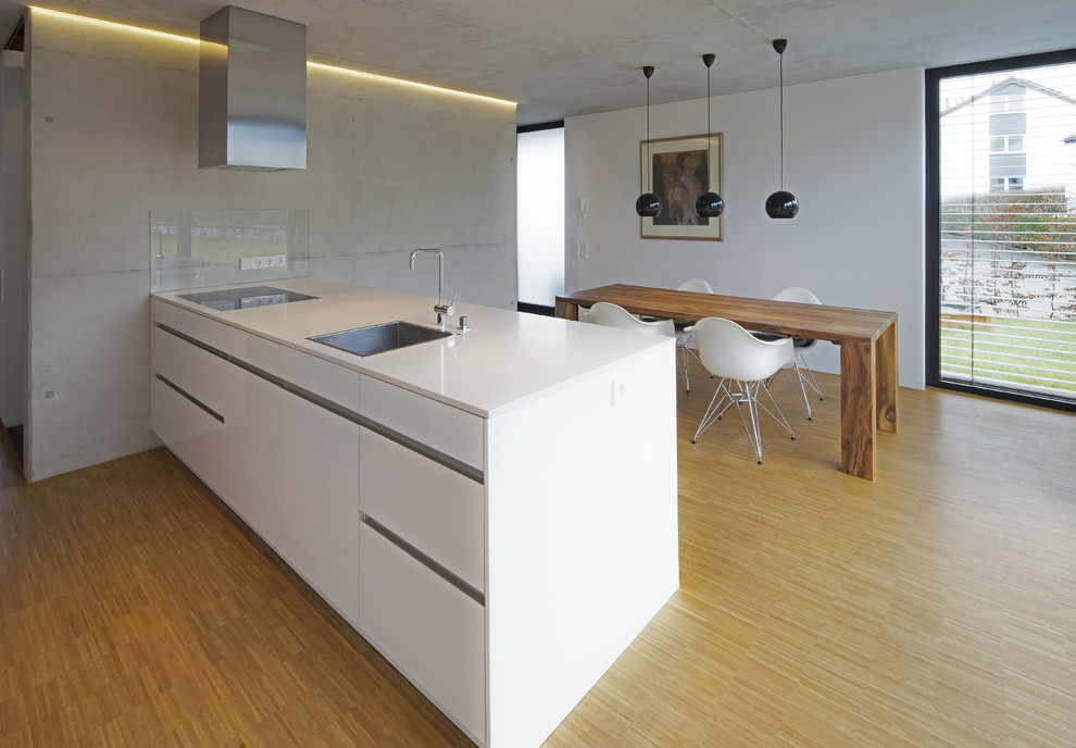 Modernes Esszimmer mit weißer Wandfarbe und hellem Holzboden in Stuttgart