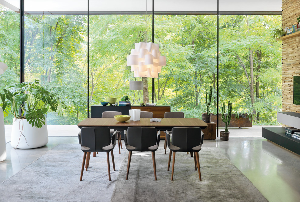 Свежая идея для дизайна: большая гостиная-столовая в современном стиле с бетонным полом и серым полом без камина - отличное фото интерьера