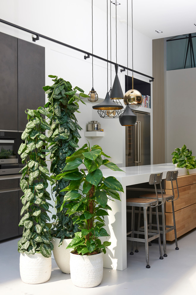 Идея дизайна: кухня-столовая среднего размера в современном стиле с белыми стенами, бетонным полом и серым полом без камина