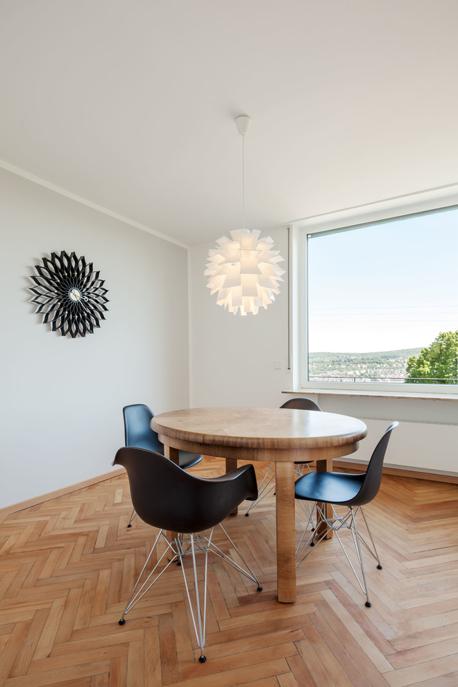 Example of a danish medium tone wood floor and brown floor dining room design in Stuttgart with multicolored walls