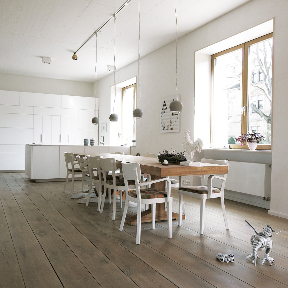 Offenes, Großes Modernes Esszimmer mit weißer Wandfarbe und braunem Holzboden in Sonstige