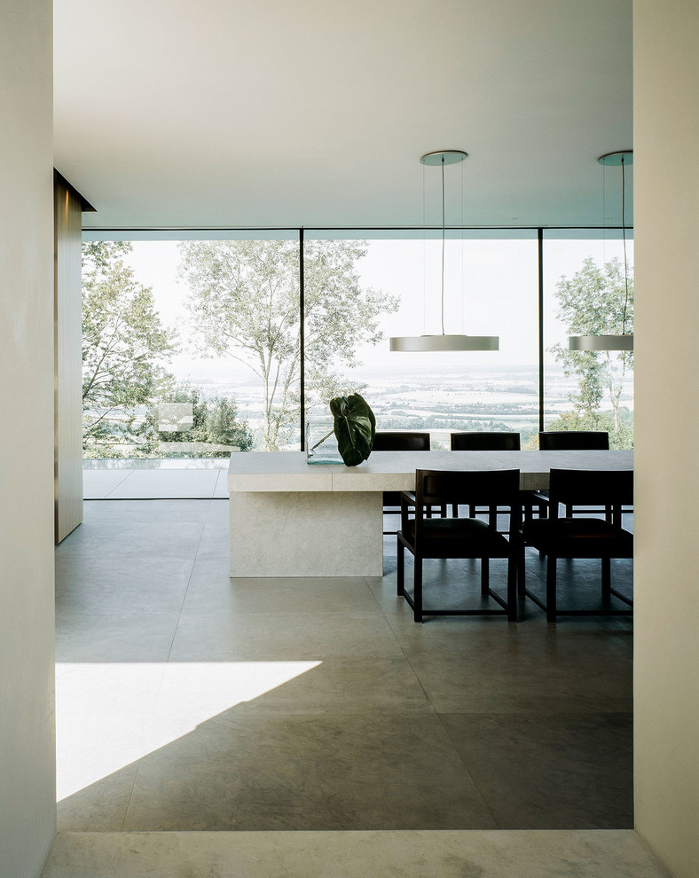 Источник вдохновения для домашнего уюта: огромная отдельная столовая в стиле модернизм с белыми стенами, бетонным полом, печью-буржуйкой, фасадом камина из металла и серым полом
