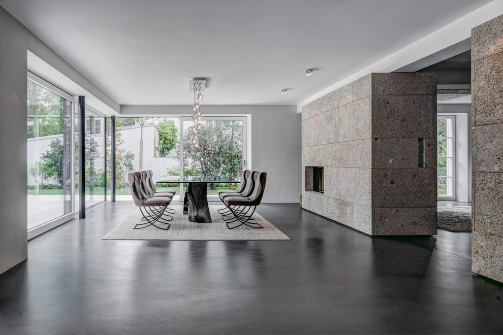 Photo of an expansive contemporary open plan dining room in Munich with white walls, a standard fireplace and a concrete fireplace surround.