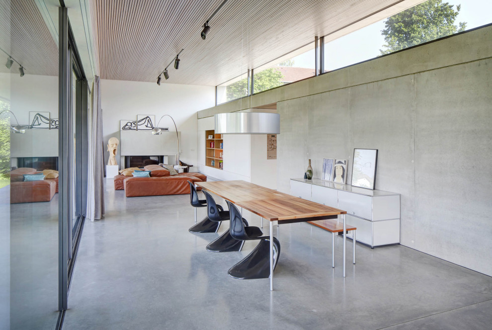 Источник вдохновения для домашнего уюта: гостиная-столовая в современном стиле с серыми стенами, бетонным полом, подвесным камином, фасадом камина из штукатурки и серым полом