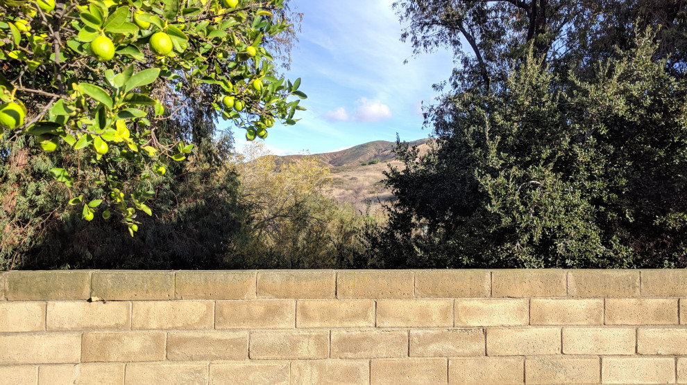 2186 Aspenpark Ct. in Thousand Oaks CA Modern Exterior Los