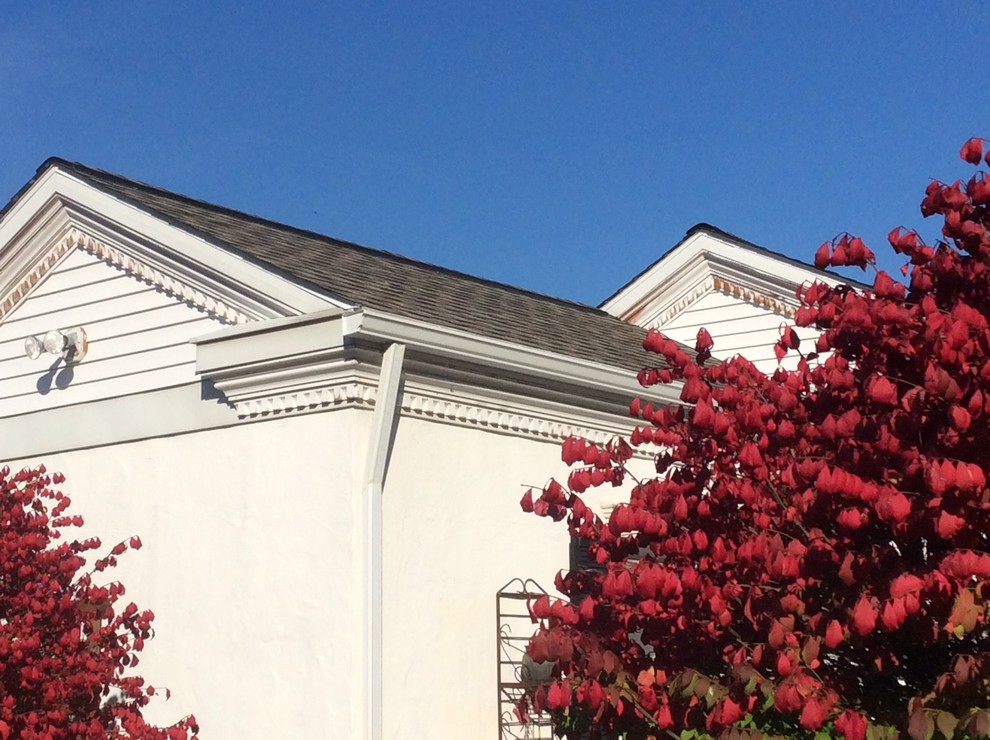 Mid-sized traditional white two-story vinyl gable roof idea in Cleveland