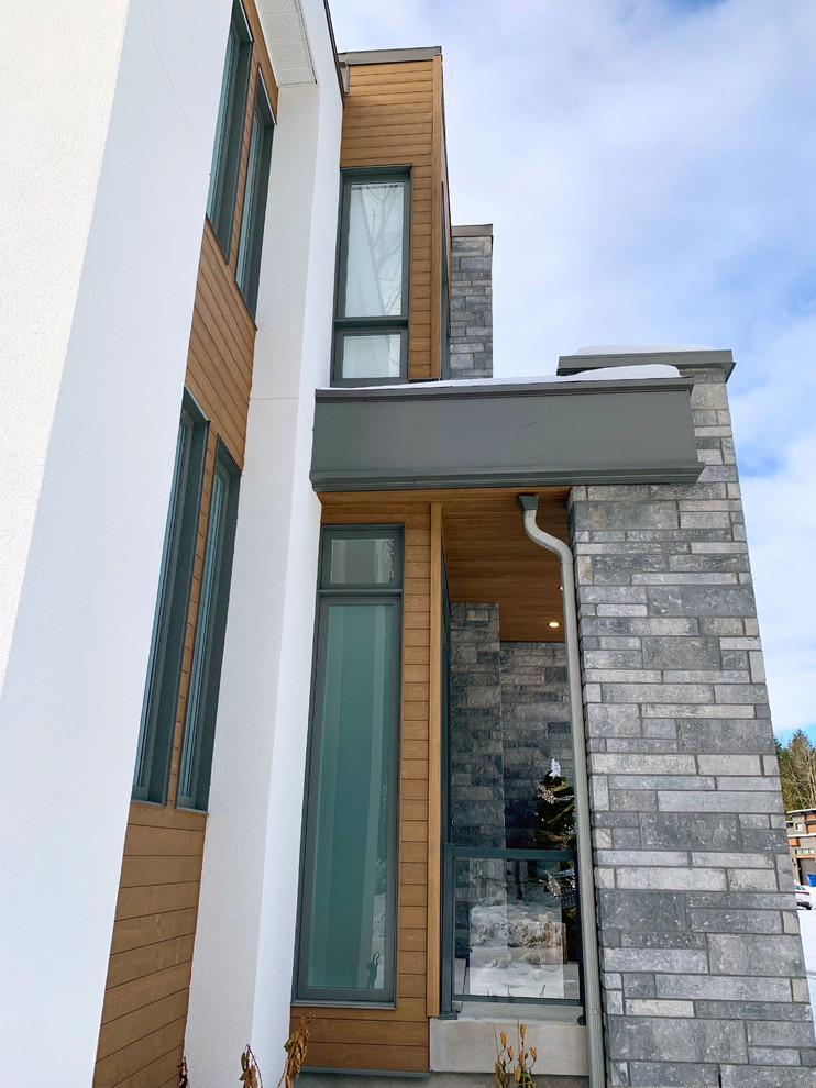 Modelo de fachada de casa beige minimalista de tamaño medio con revestimiento de madera