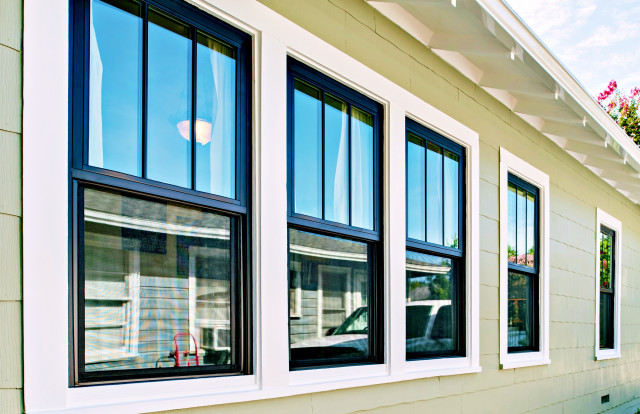 Andersen Black 100 Series Windows - Fort Worth - Craftsman