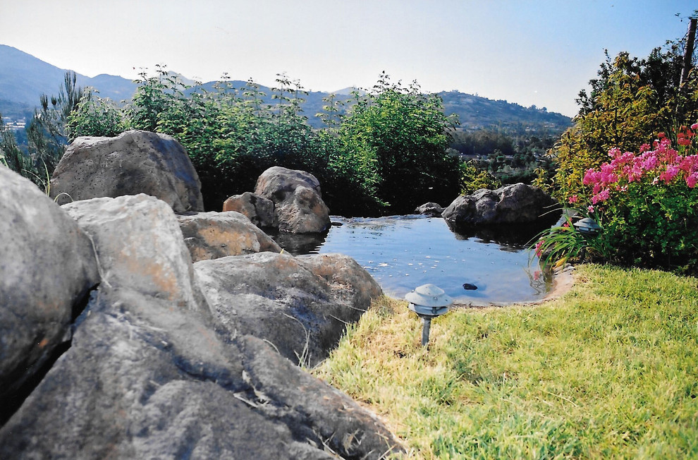 Arificial Rocks Exterior San Diego by Rockscapes Unlimited Inc