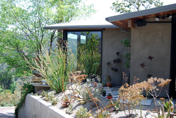 Design ideas for a midcentury house exterior in Los Angeles.