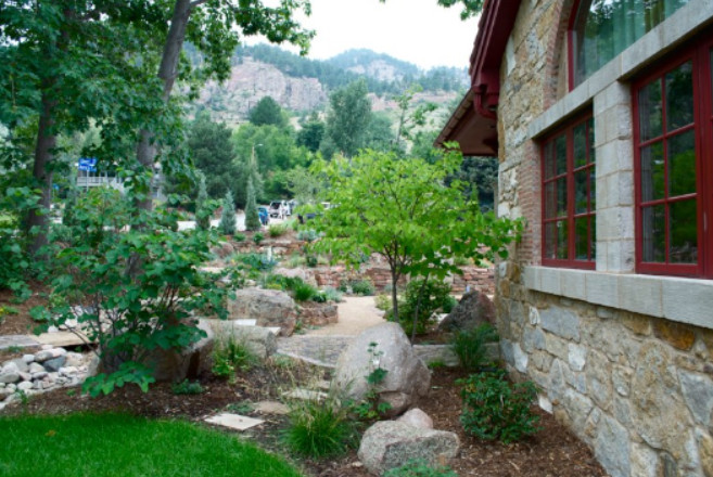 Photo of a transitional landscaping in Denver.