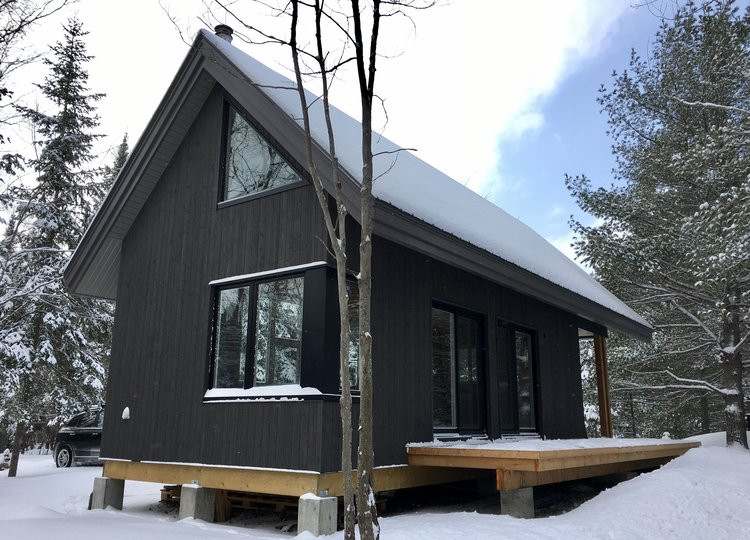 Immagine della micro casa scandinava con rivestimento in legno e copertura in metallo o lamiera