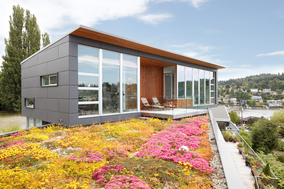 Idées déco pour une petite façade de maison grise moderne de plain-pied avec un revêtement mixte et un toit en appentis.