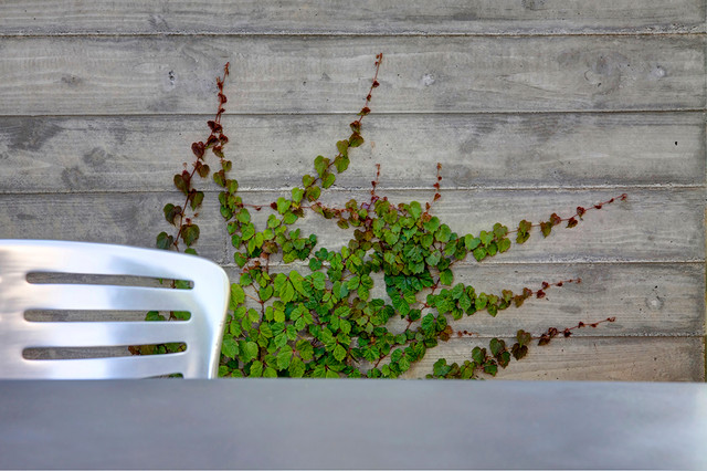 Black Is The New Farmhouse - Landhausstil - Häuser - San Francisco