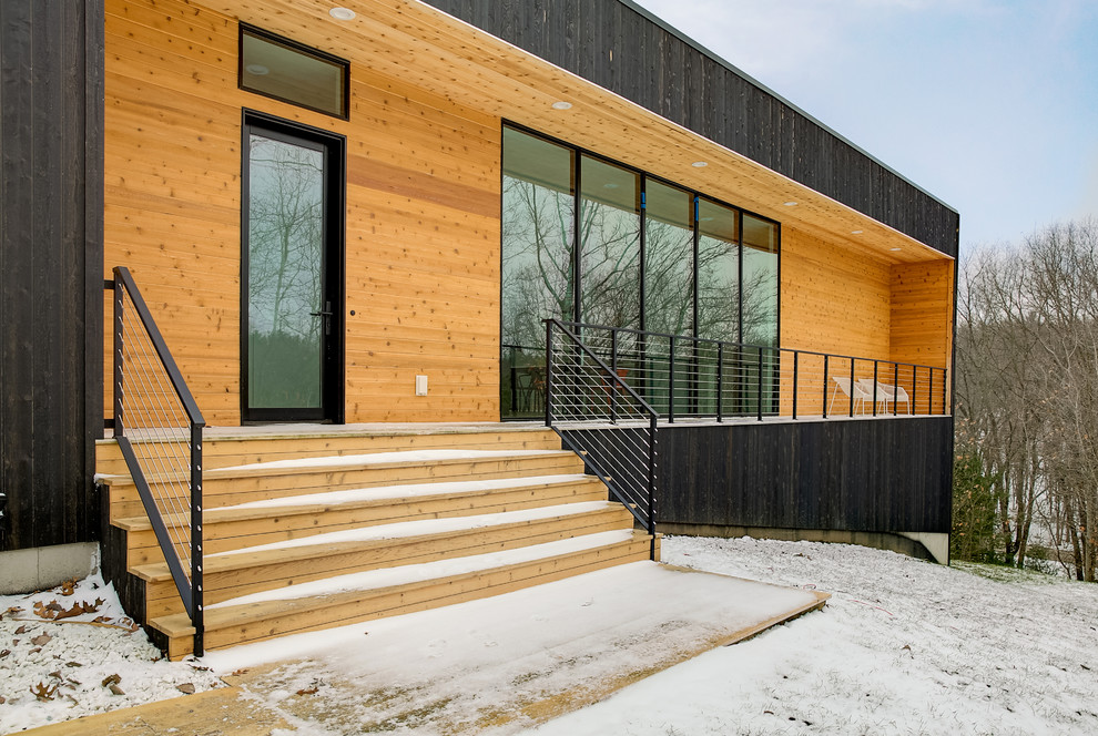 Modelo de fachada negra minimalista de tamaño medio con revestimiento de madera y tejado plano