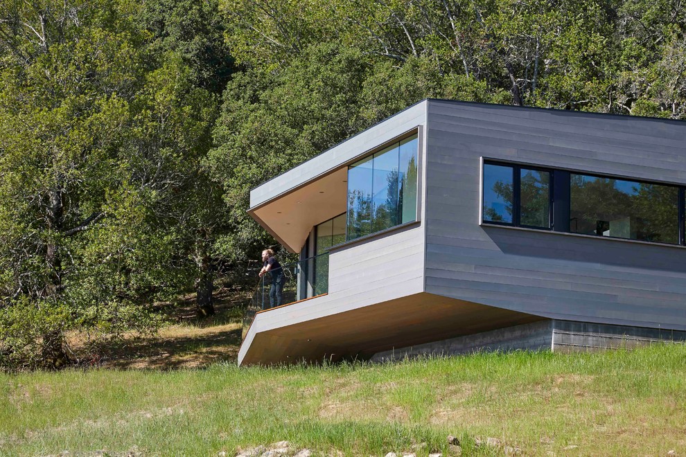 Mittelgroße, Einstöckige Moderne Holzfassade Haus mit grauer Fassadenfarbe und Flachdach in San Francisco