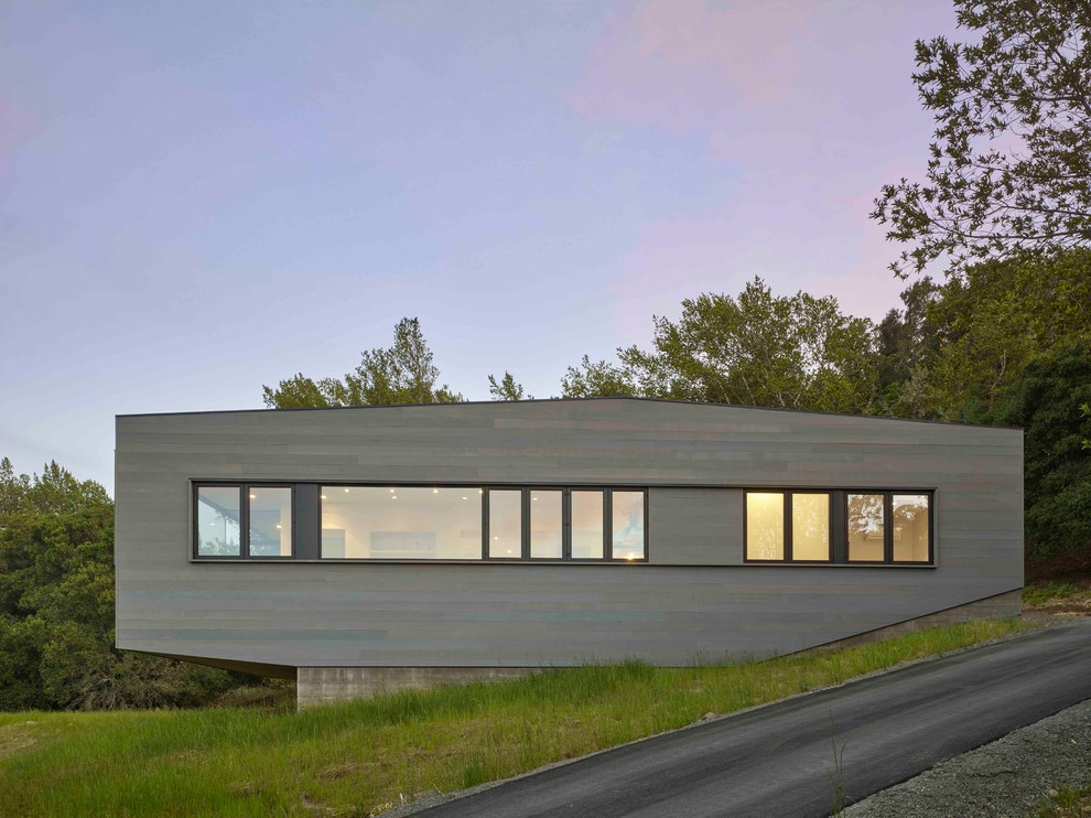 Immagine della facciata di una casa grigia moderna a un piano di medie dimensioni con rivestimento in legno e tetto piano