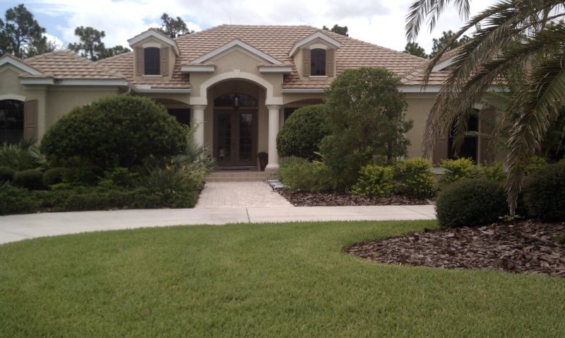 Elegant exterior home photo in Tampa