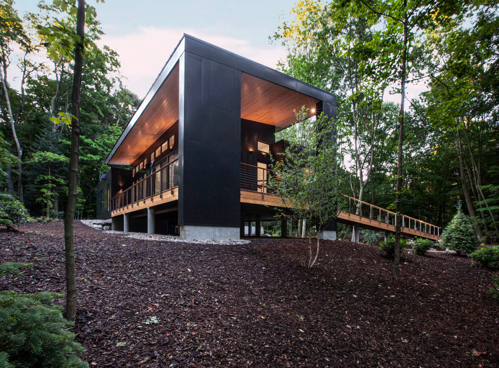 Стильный дизайн: одноэтажный, черный частный загородный дом среднего размера в стиле ретро с облицовкой из металла, плоской крышей и черной крышей - последний тренд