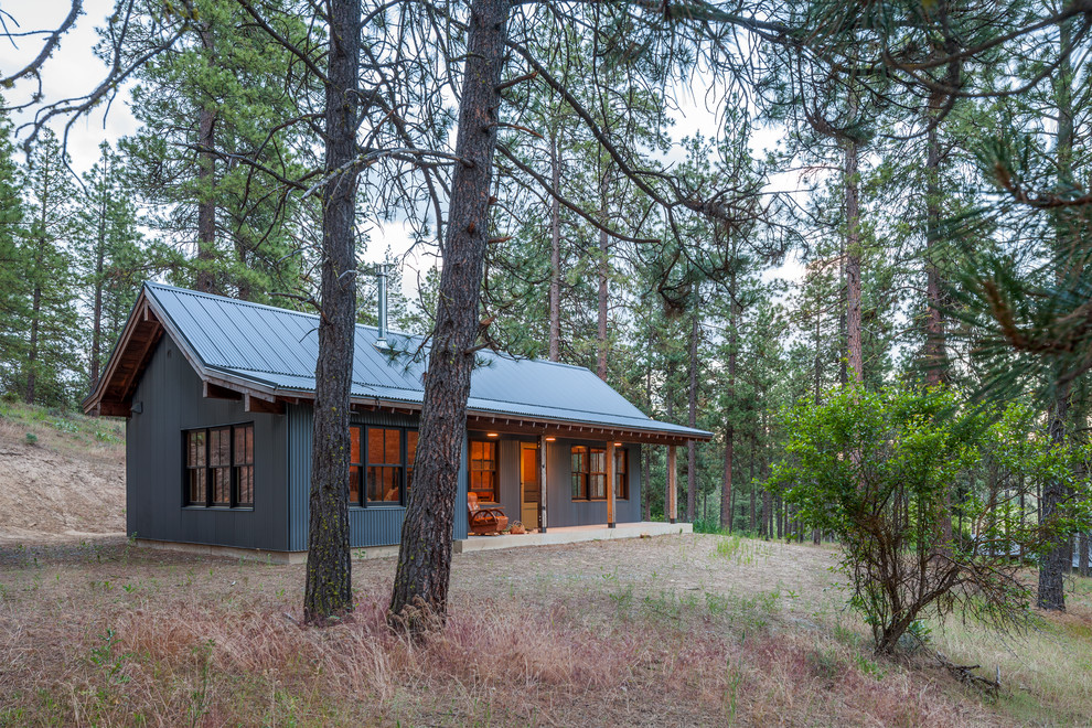 Inspiration for a rustic gray one-story metal exterior home remodel in Other with a metal roof