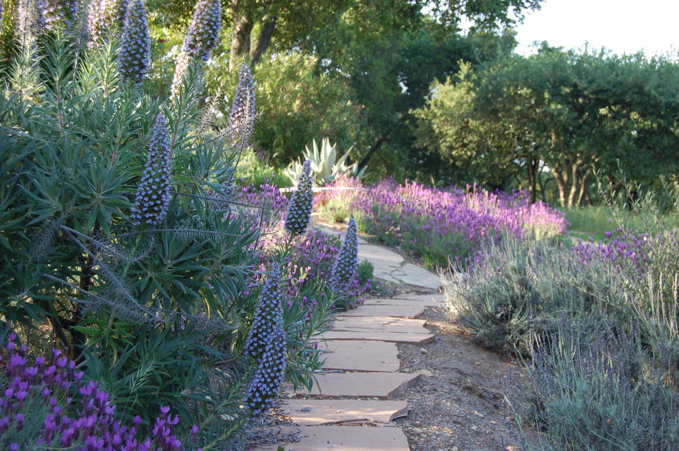 Design ideas for a southwestern landscaping in San Francisco.