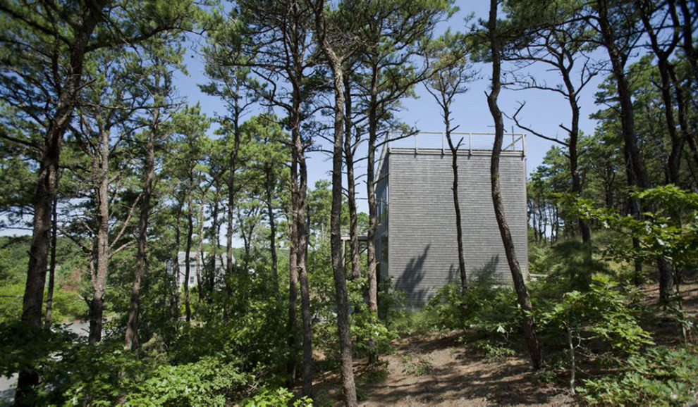Modelo de fachada gris contemporánea grande de tres plantas con revestimiento de madera