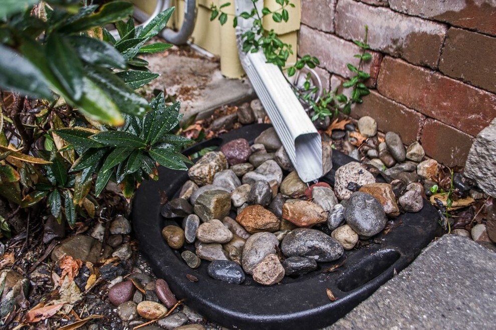 Capturing Rainwater Roof Runoff (Brooklyn/NY) Exterior New York