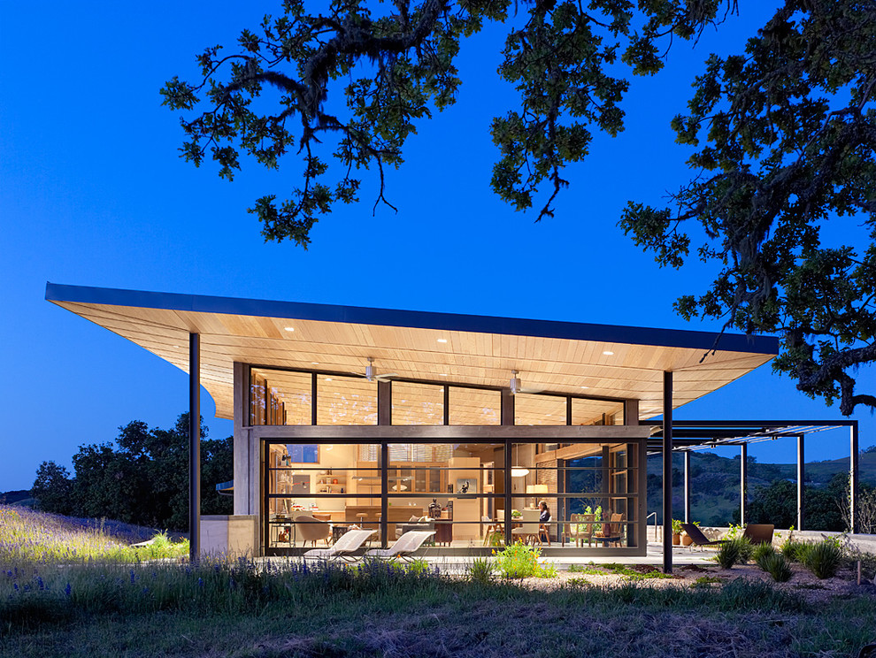 Идея дизайна: стеклянный дом в современном стиле с односкатной крышей