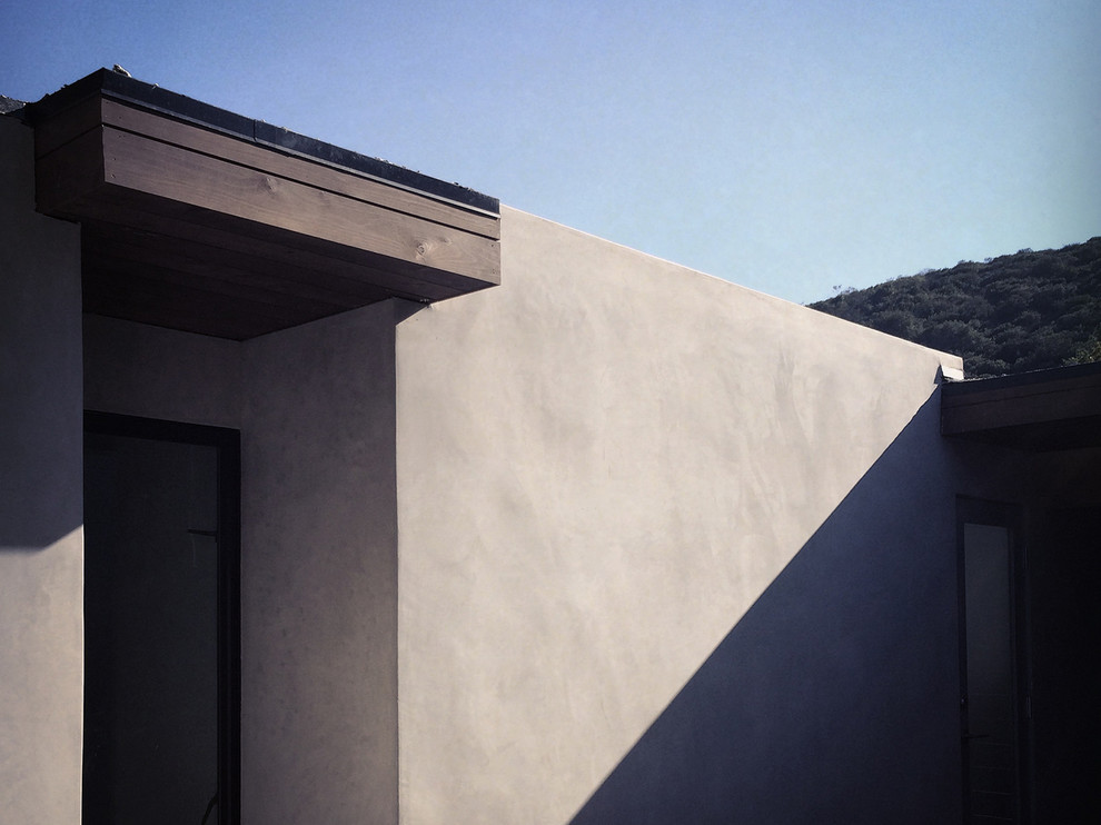 cedar soffit at smooth stucco Midcentury Exterior