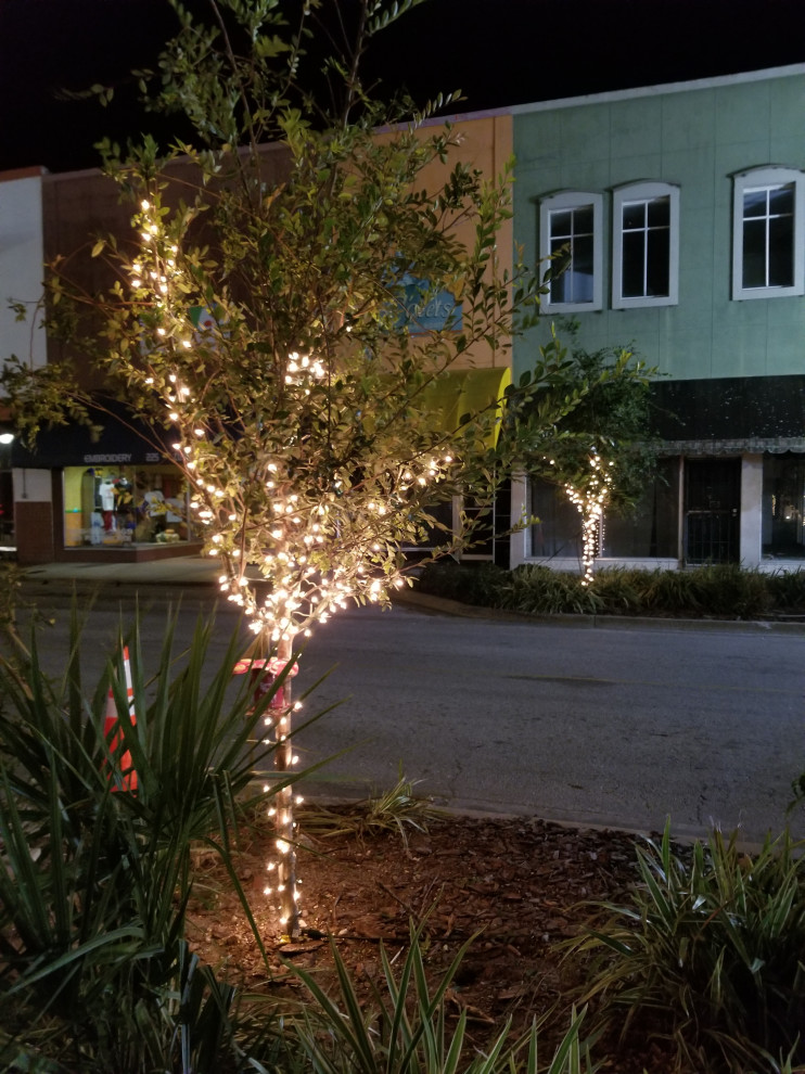 City of Palatka Holiday Lights 2017 Exterior Other by Holiday