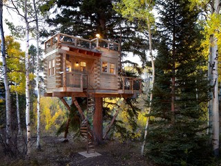 ツリーハウスの事例画像 | Houzz