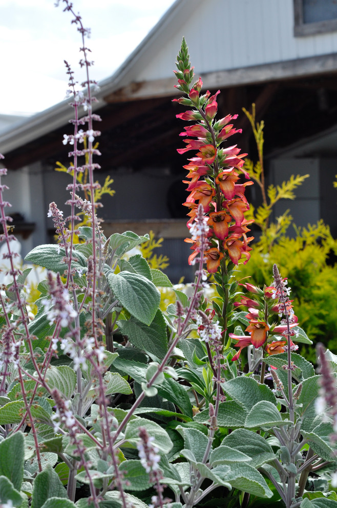 Containers Farmhouse Exterior Columbus By Mcculloughs Landscape And Nursery Houzz 