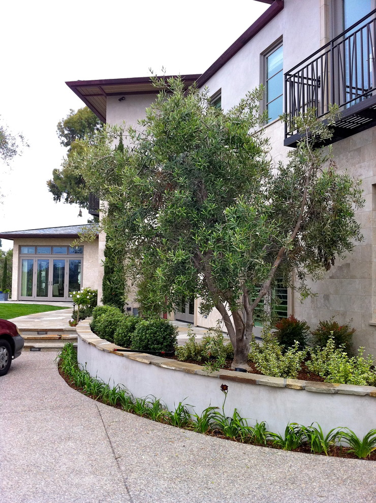 Contemporary La Jolla landscape architecture, courtyard, pool