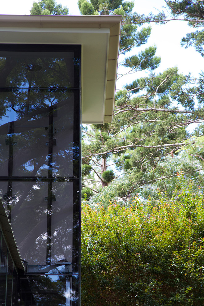 Großes, Zweistöckiges Modernes Einfamilienhaus mit Glasfassade, grüner Fassadenfarbe und Blechdach in Brisbane