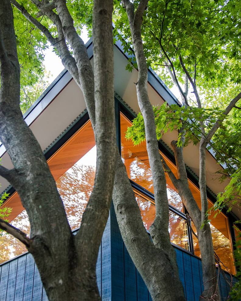 Imagen de fachada de casa azul minimalista de tamaño medio de dos plantas con revestimiento de madera y tejado de un solo tendido