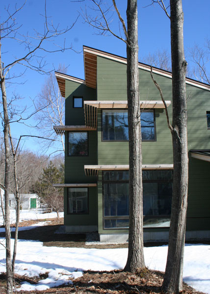 Idee per la facciata di una casa verde contemporanea a due piani con rivestimento con lastre in cemento