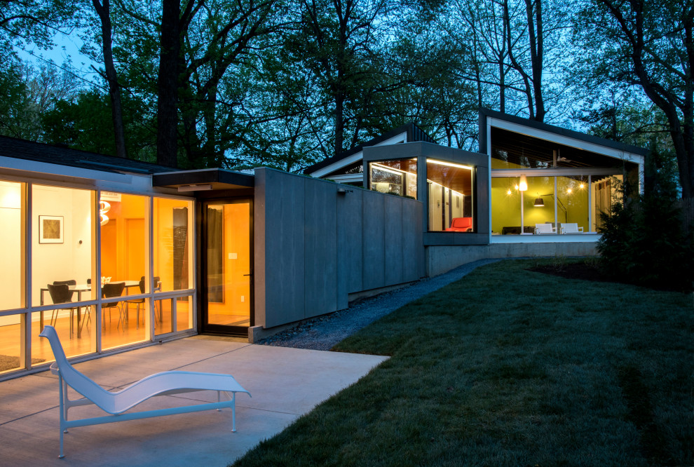 Cette image montre une façade de maison minimaliste avec un toit en métal.