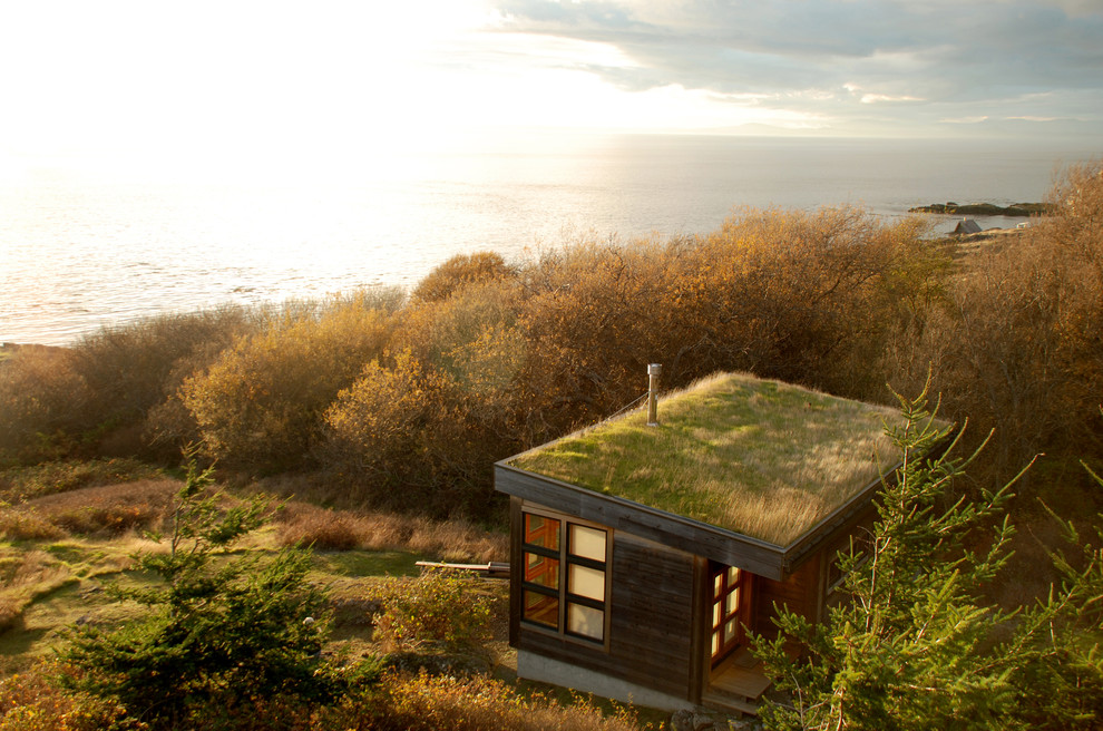 Kleine, Einstöckige Moderne Holzfassade Haus mit grauer Fassadenfarbe in Seattle