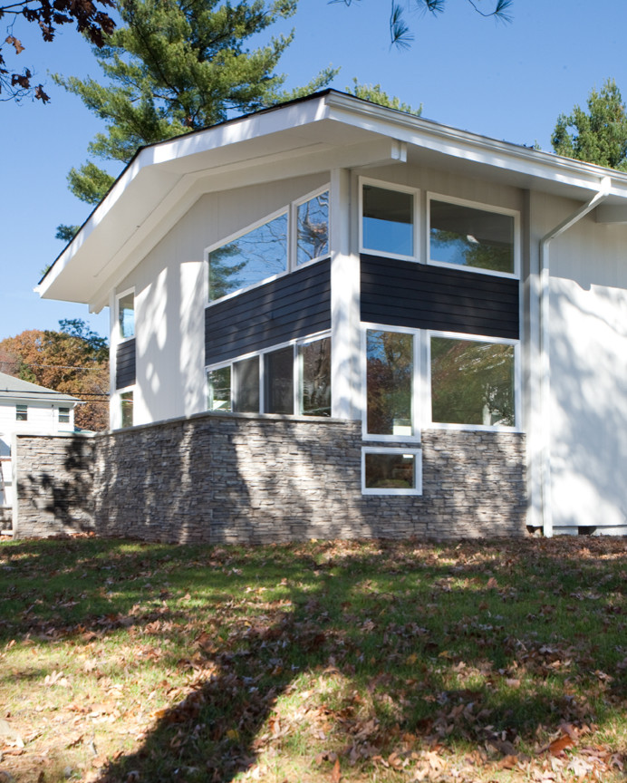 Cette image montre une façade de maison minimaliste avec un toit à deux pans.