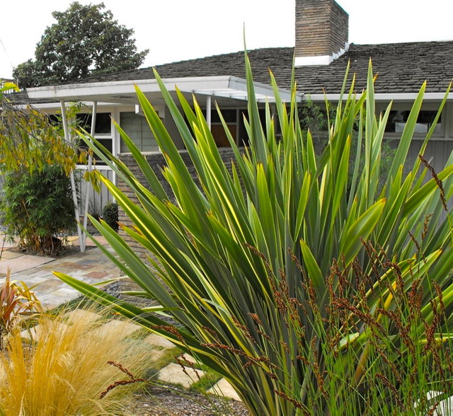 Ettrick Modern House Exterior San Francisco by StoneNGardens