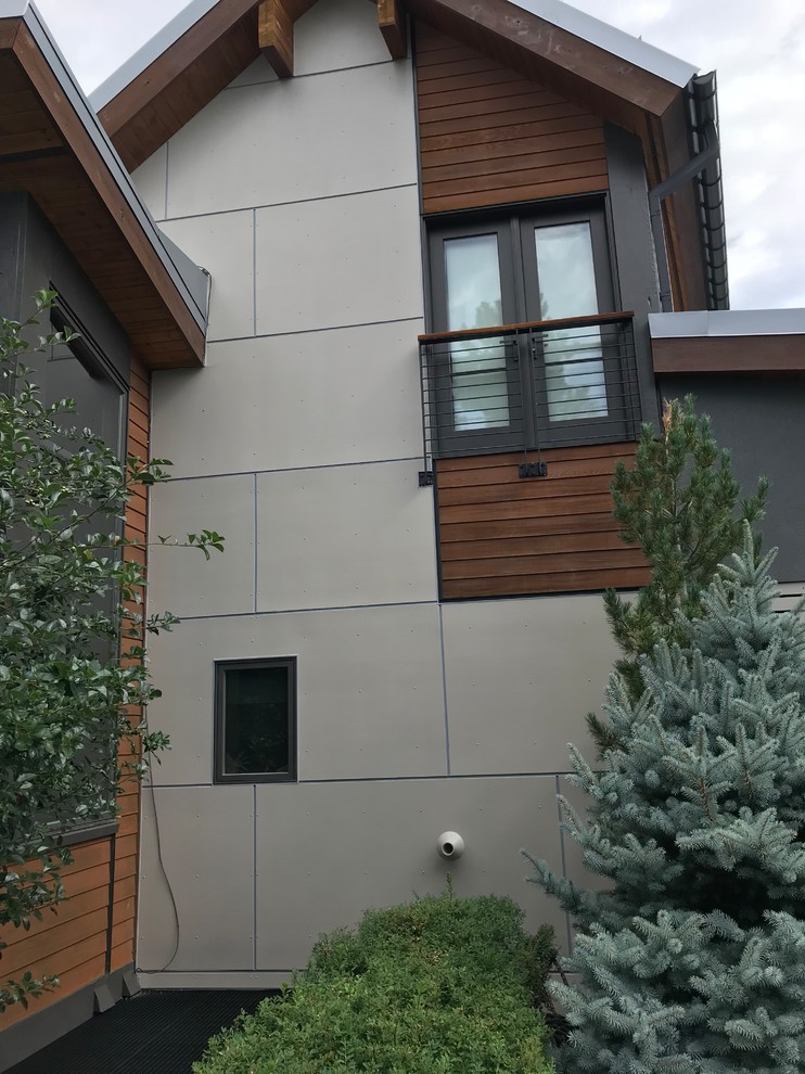 Modelo de fachada de casa gris contemporánea con revestimiento de estuco y tejado de metal